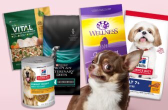 10 Best Dog Foods