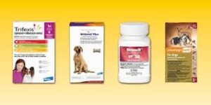 10 Best Pet Dewormers